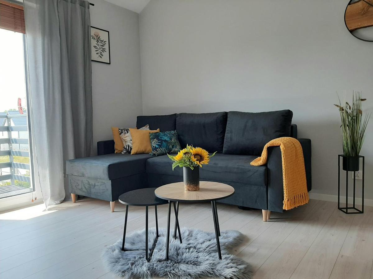 Apartament Miodowy Владыславово Экстерьер фото